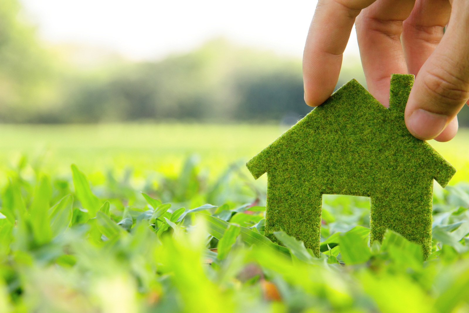 Image of a hand holding a green piece of fabric shaped like a house in a grass field.