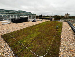 Image showing a roof (green and brown roofing) with buildings in the background